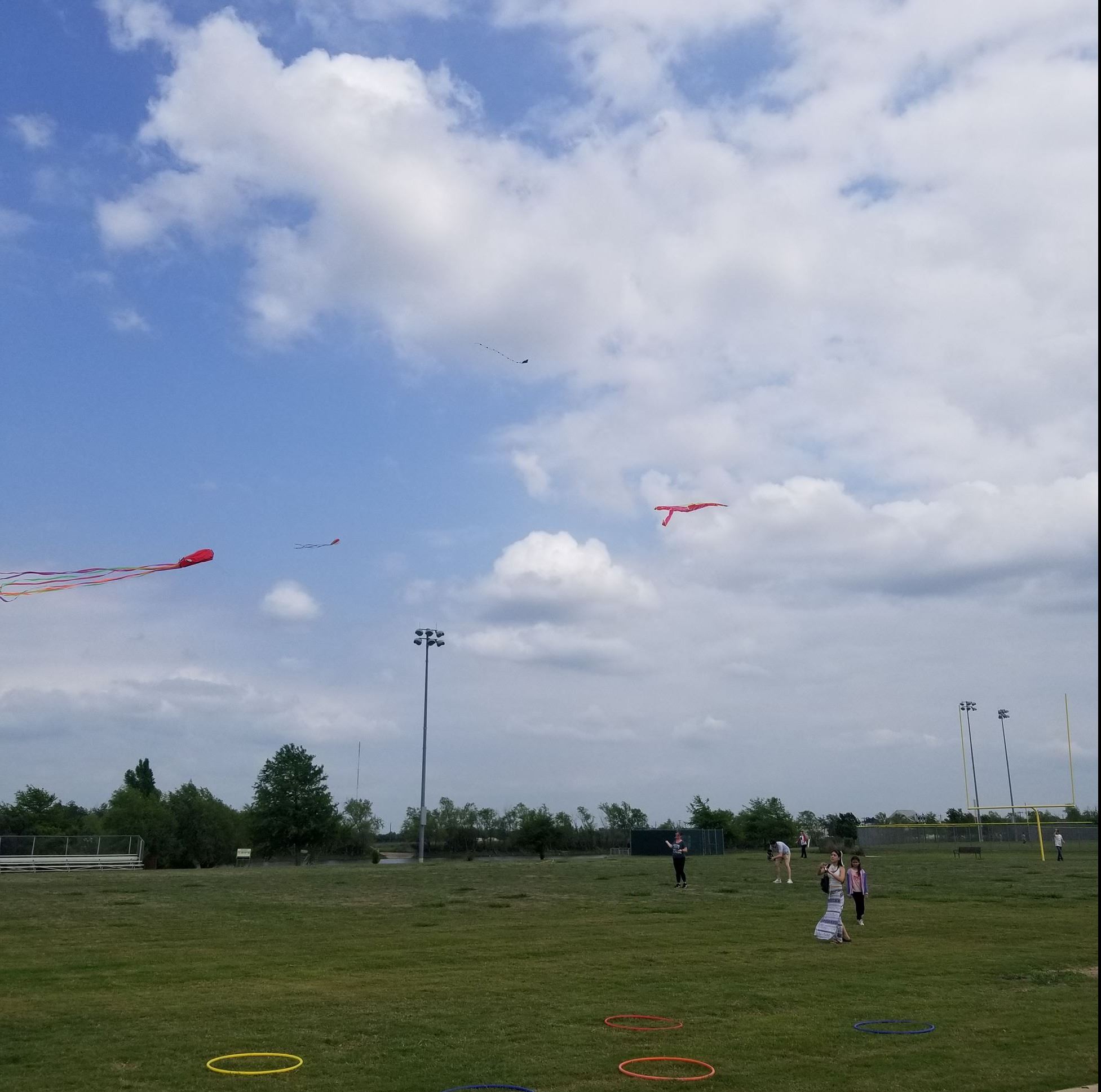 all kites