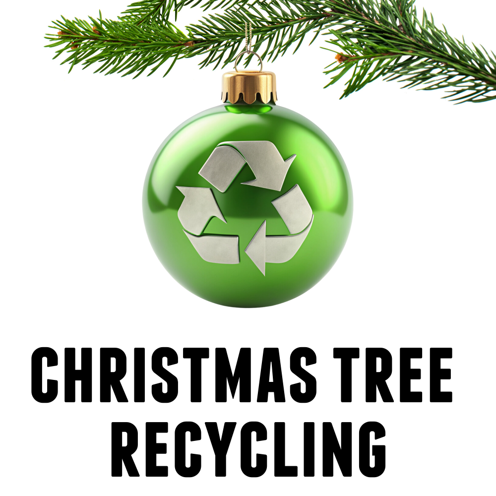 Christmas Tree Recycling Square